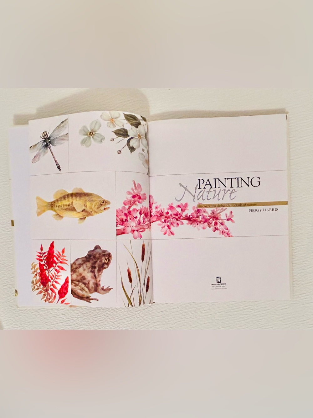 Watercolor Painting Nature by - Peggy Harris Simple Picture Guide. - Picture 3 of 7